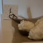 Antica Dimora Stucky 4* 트레비소
